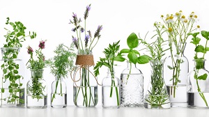 Kein Bild vorhanden!