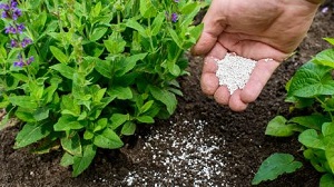 Kein Bild vorhanden!