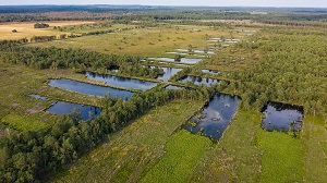 Kein Bild vorhanden!