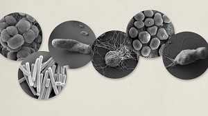 Kein Bild vorhanden!