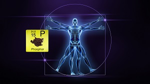 Kein Bild vorhanden!