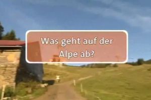 Kein Bild vorhanden!