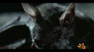 Kein Bild vorhanden!