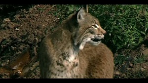 Kein Bild vorhanden!