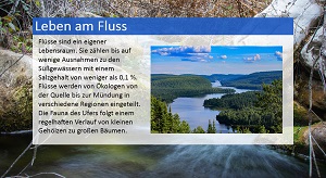 Kein Bild vorhanden!