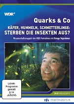 Kein Bild vorhanden!