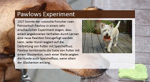 Kein Bild vorhanden!