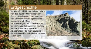Kein Bild vorhanden!