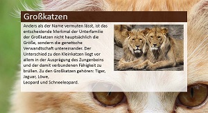Kein Bild vorhanden!