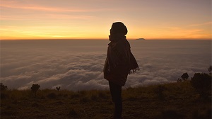 Kein Bild vorhanden!