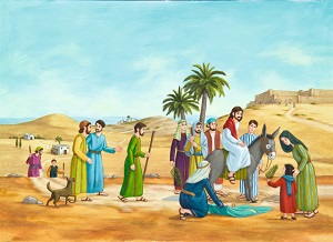 Kein Bild vorhanden!