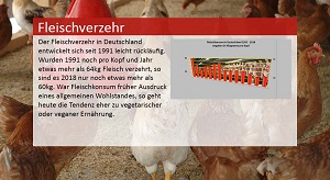 Kein Bild vorhanden!