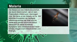 Kein Bild vorhanden!