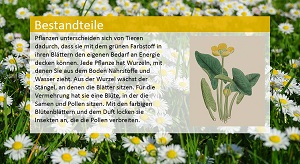 Kein Bild vorhanden!