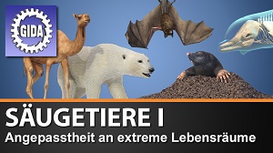 Kein Bild vorhanden!