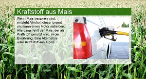 Kein Bild vorhanden!