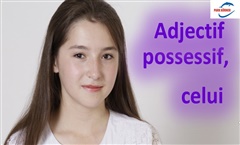 Kein Bild vorhanden!