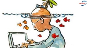 Kein Bild vorhanden!