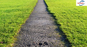 Kein Bild vorhanden!