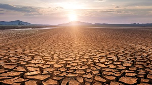 Kein Bild vorhanden!