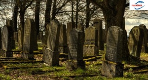 Kein Bild vorhanden!