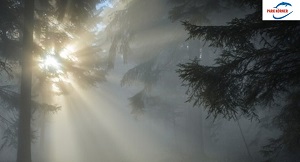 Kein Bild vorhanden!