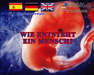 Kein Bild vorhanden!