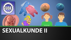 Kein Bild vorhanden!