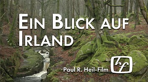 Kein Bild vorhanden!