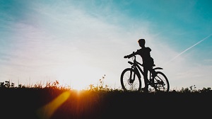 Kein Bild vorhanden!