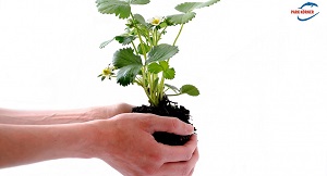 Kein Bild vorhanden!