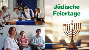 Kein Bild vorhanden!