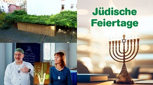 Kein Bild vorhanden!