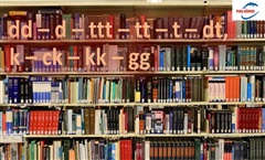 Kein Bild vorhanden!