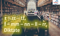 Kein Bild vorhanden!