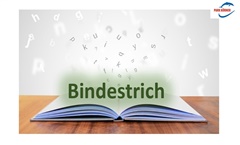 Kein Bild vorhanden!