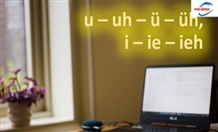 Kein Bild vorhanden!