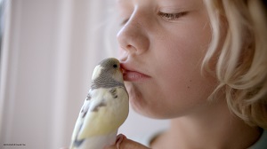 Kein Bild vorhanden!