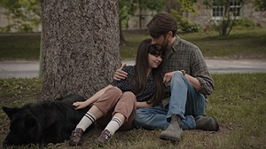 Kein Bild vorhanden!