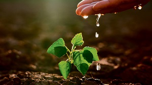 Kein Bild vorhanden!