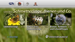 Kein Bild vorhanden!