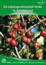 Kein Bild vorhanden!