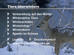 Kein Bild vorhanden!