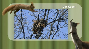 Kein Bild vorhanden!