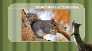 Kein Bild vorhanden!