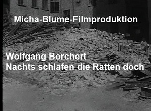 Kein Bild vorhanden!