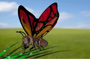 Kein Bild vorhanden!