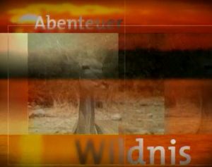 Kein Bild vorhanden!