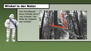 Kein Bild vorhanden!