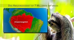 Kein Bild vorhanden!